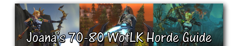Joana's Horde Leveling Guide
