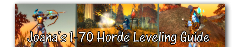 Joana's 1-70 Horde Leveling Guide