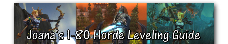 Joana's Horde Leveling Guide
